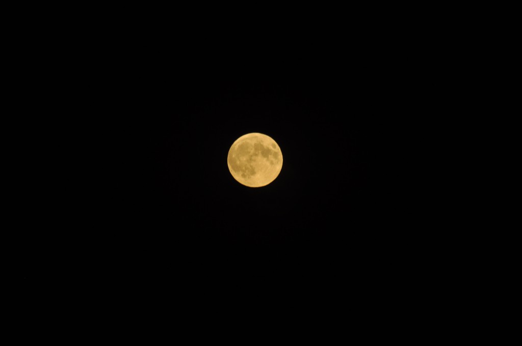 _DSC0664