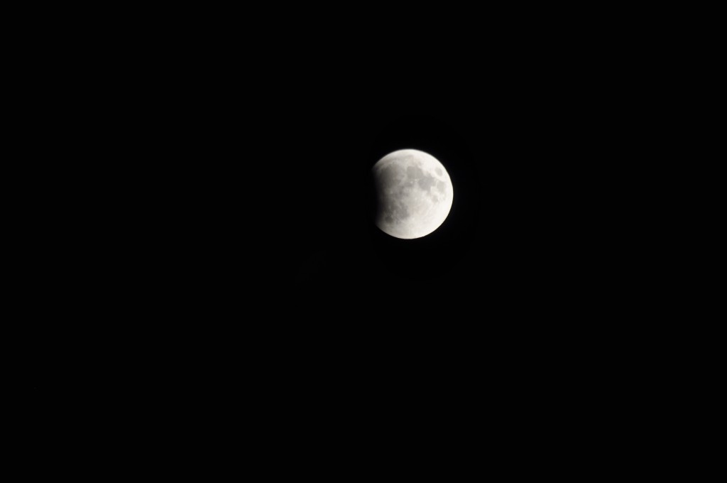 _DSC0686