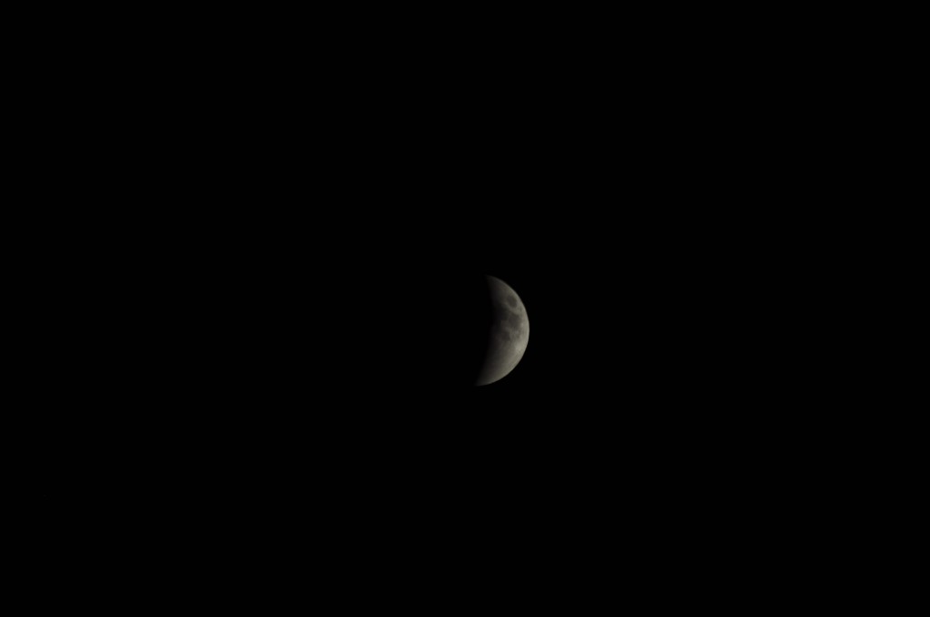 _DSC0699