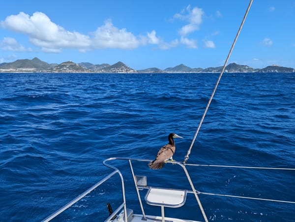 sint maarten/saint martin