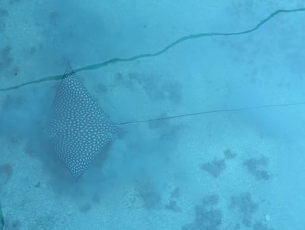 nassau, bahamas