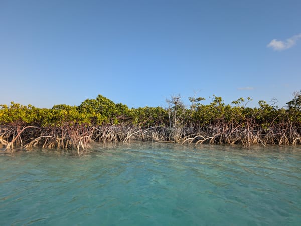 shroud cay, bahamas